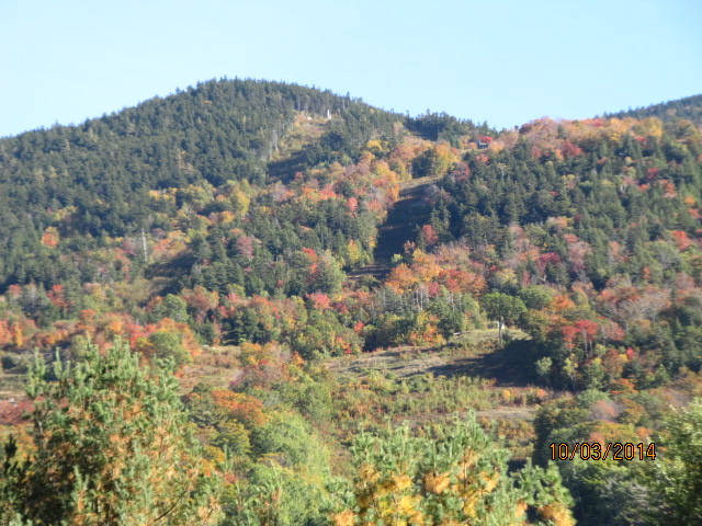 Loading Resort Image...